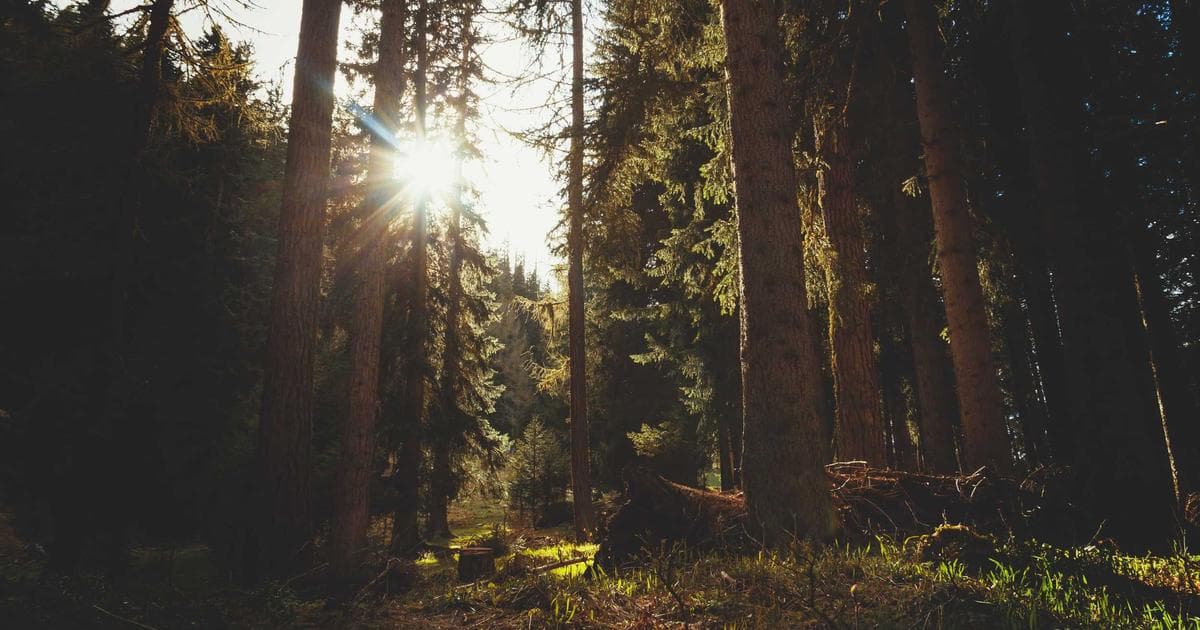 African Union Launches Continental Free Trade Zone