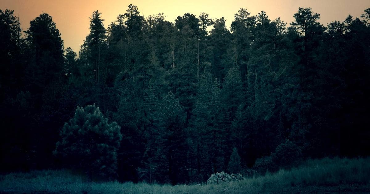 Government Launches Nationwide Dengue Outbreak Prevention Campaign