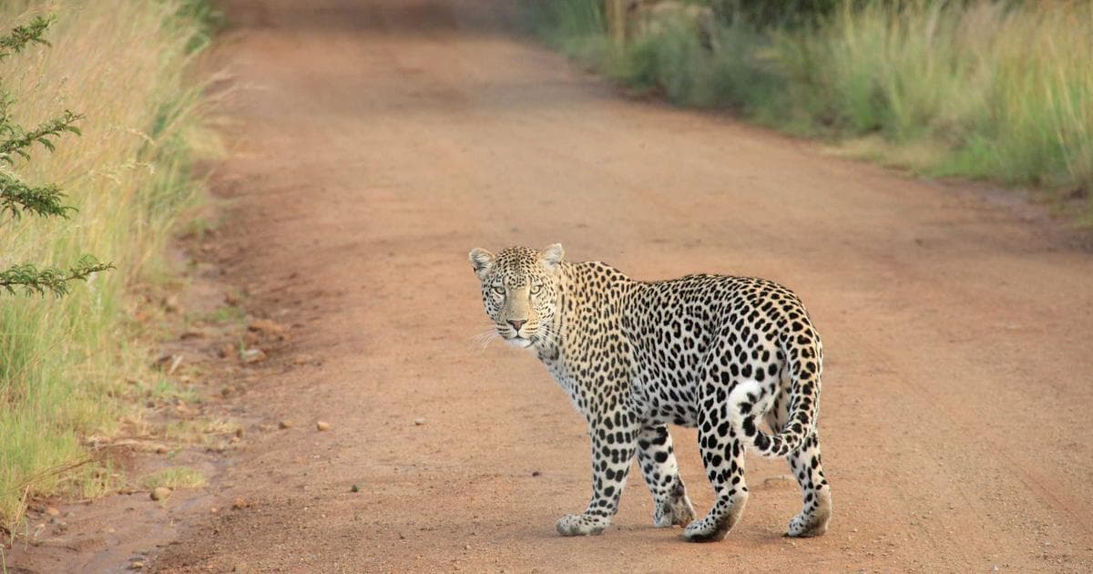 Your Data Is Not Safe: Why Nepal Needs a Privacy Law Now