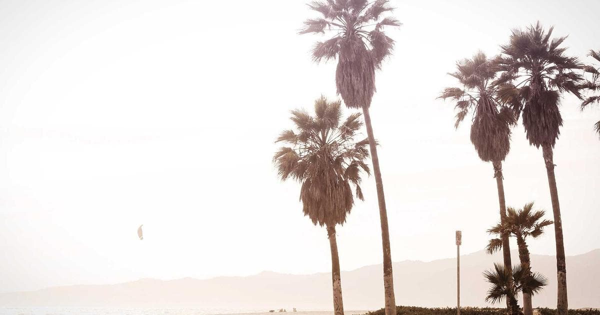 Nepal's E-Governance Portal Crosses One Million Active Users