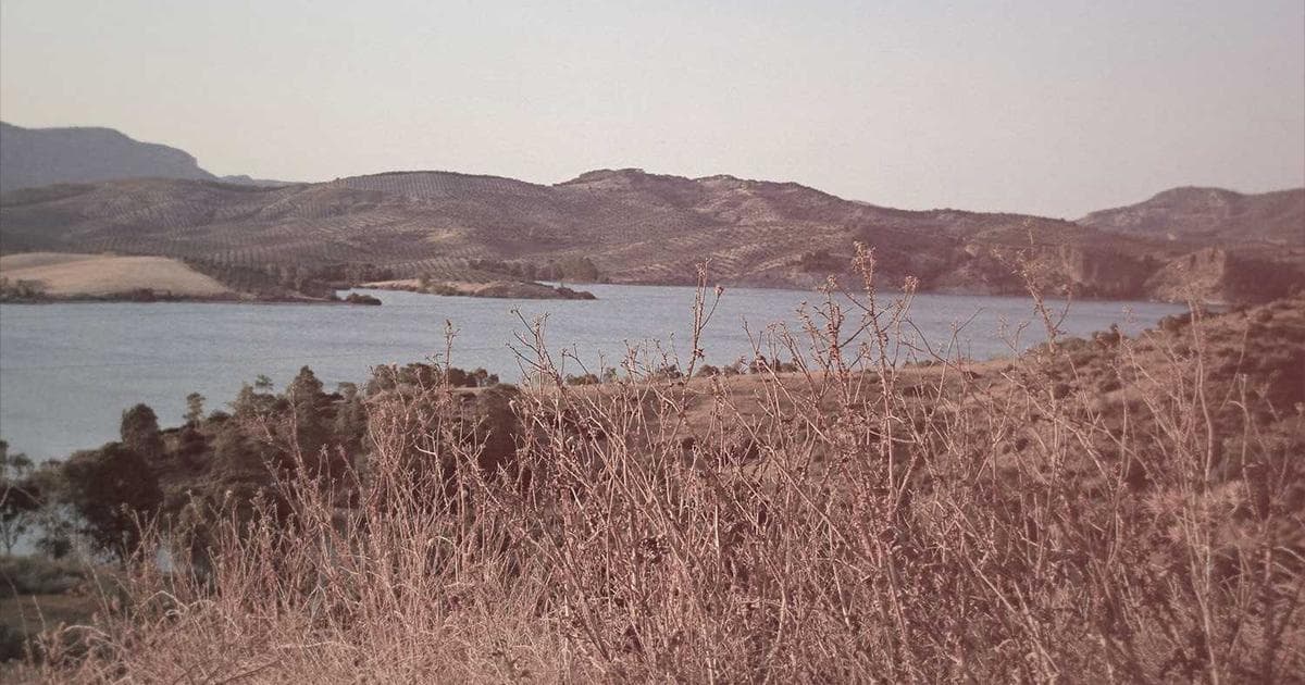 Everest Marathon Breaks Participation Record with 350 Runners