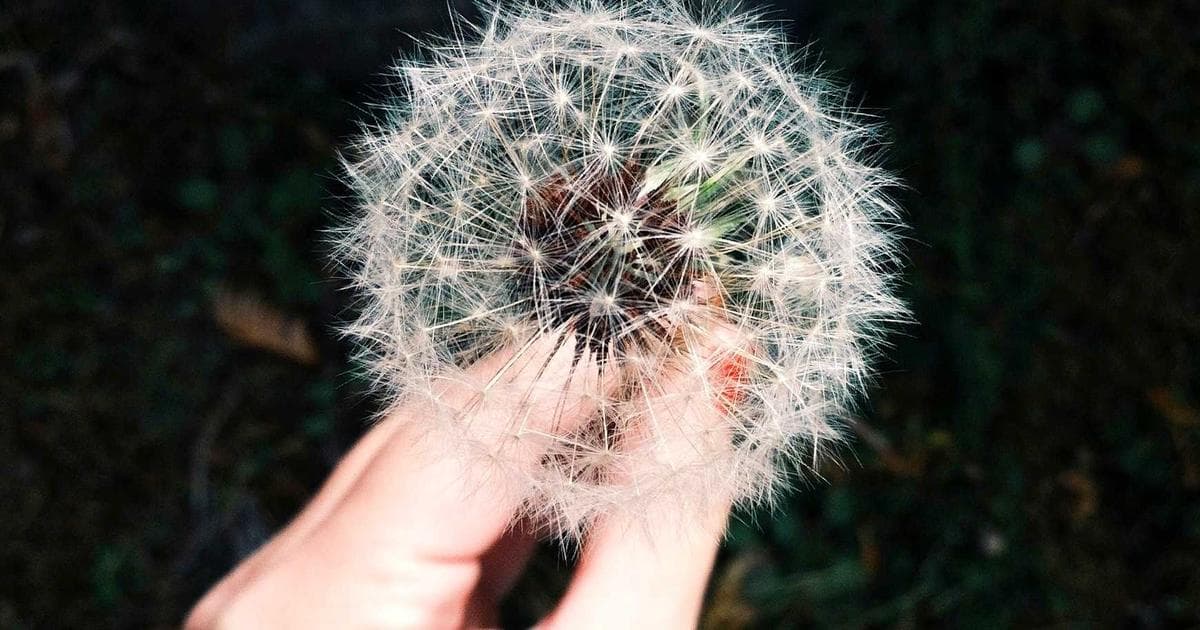 Kathmandu International Music Festival Draws 50,000 Fans Over Three Days