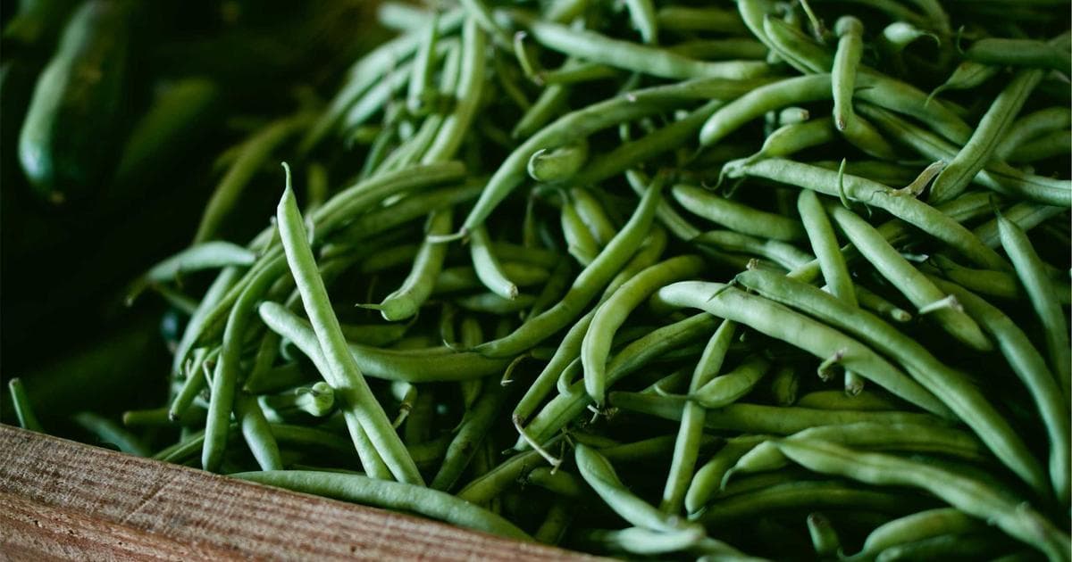 BREAKING: Massive Flood Rescue Operation Underway as Koshi River Breaches Embankments