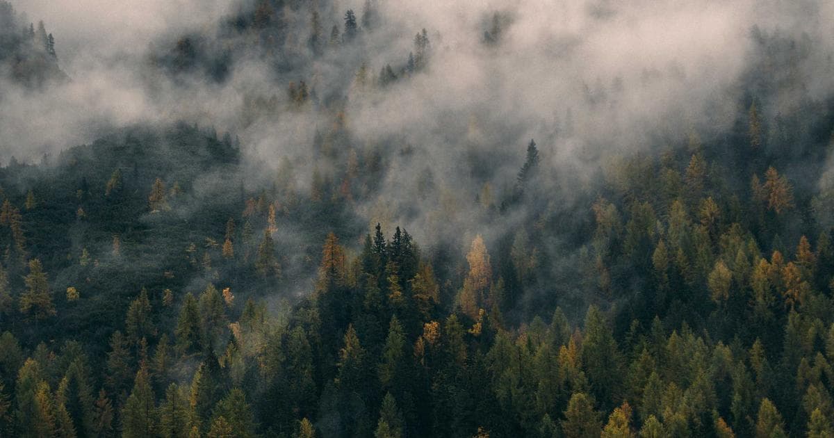 BREAKING: National Power Grid Failure Plunges Nepal Into 12-Hour Blackout