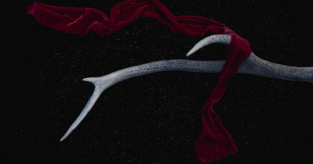 Nepal Martial Arts Team Wins 12 Medals at Asian Championship