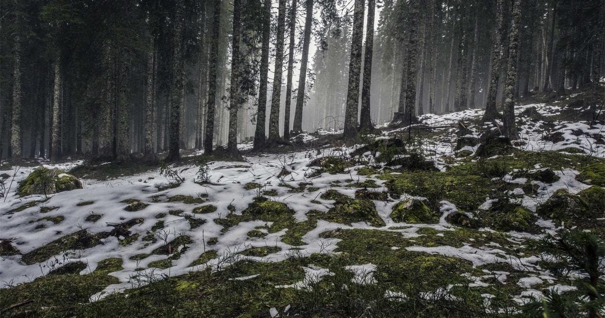 New Federal Budget Allocates Record Funds for Agriculture Sector