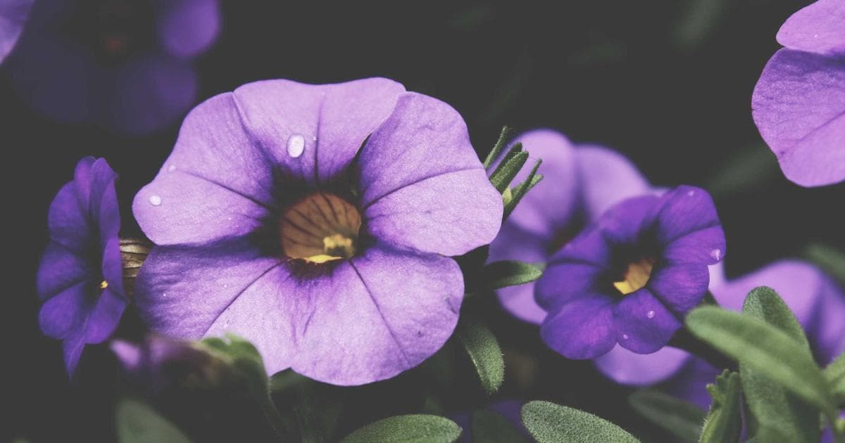 Parliament Passes New Education Bill Amid Opposition Protests