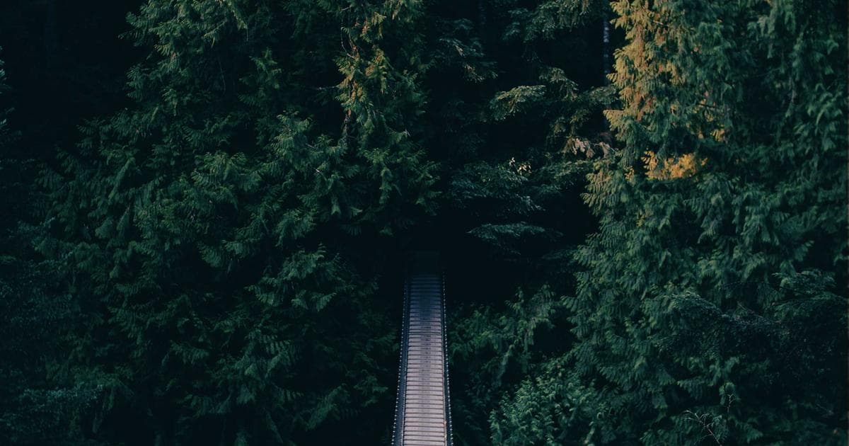 UN Climate Summit Reaches Landmark Agreement on Carbon Emissions